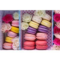 Backkurs München - Macarons in Schachtel