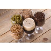 Braukurs Heidelberg – Bierzutaten