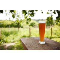 Braukurs München - Weißbier im Biergarten