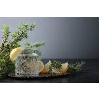 Gin-Tasting Berlin Distillery