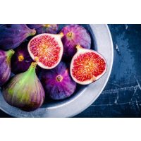 Erotic Food Kurs Stuttgart – Feigen