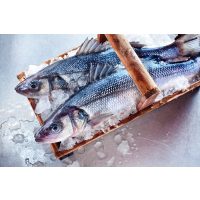 Fisch-Kochkurs Frankfurt – Loup de Mer in Korb