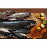 Fisch-Kochkurs Frankfurt – Loup de Mer