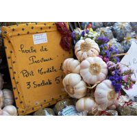 Französischer Kochkurs Frankfurt - Provence