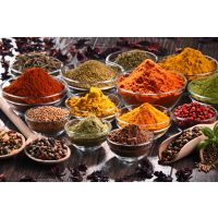 Gewürzkochkurs Dresden - Gewürzvielfalt