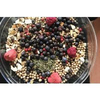 Gin selber machen Berlin – Botanicals