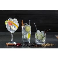 Gin-Tasting Frankfurt – Gläser und Botanicals