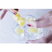 Gin-Tasting Heidelberg – Gin mit Zitrone