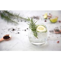 Gin-Tasting Mainz – Gin mit Rosmarin und Gurke
