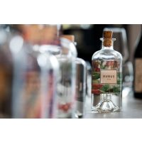 Gin-Tasting München – feine Auswahl