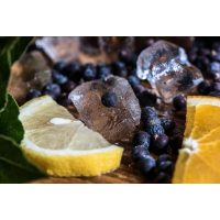 Gin-Tasting München – Wacholder, Zitrone