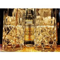 Gin-Tasting Stuttgart – Gin Tonic