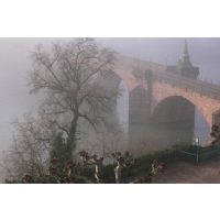 Kulinarische Stadtführung Heidelberg - Nebel in der Stadt