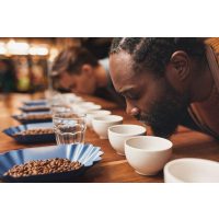 Kaffee-Seminar Frankfurt – die Sensorik schulen