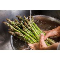 Kochkurs Schwerte – grünen Spargel waschen
