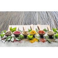 Kräuterwanderung Freiburg Kräuter und Gewürze aus der Natur