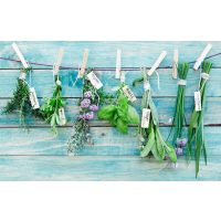 Kräuterwanderung Freiburg die besten Kräuter