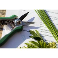 Kräuterwanderung München – Kräuter sammeln und verarbeiten 