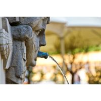 Betriebsausflug Stuttgart - Brunnen Wasserspeier