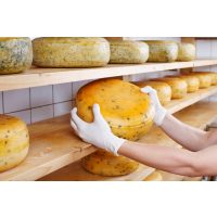 Wein- und Käseseminar in Freiburg - Käselaibe