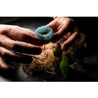 Molekularer Kochkurs Mannheim – blaues Ei