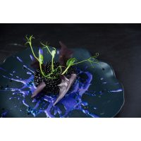 Molekularer Kochkurs Mannheim – Risotto in Schwarzblau