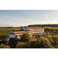 weinprobe-wuerzburg Krimi Weinprobe Volkach