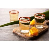 Tequila-Tasting Frankfurt: Mezcal-Verkostung