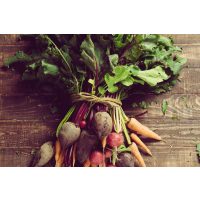 Veganer Kochkurs Frankfurt – Wurzelgemüse