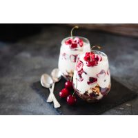 Vegetarischer Kochkurs Dresden – Kirsch-Tiramisu