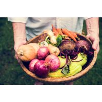 Vegetarischer Kochkurs in Stuttgart – frisches Gemüse