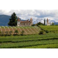 virtuelle Reise Südtirol Weinberge