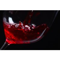 Wein-Tasting Mannheim – Rotwein mit schöner Farbe