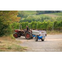 Weinprobe mit Wanderung Pfalz – Traktor