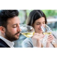 Weinprobe Berlin – Weißwein probieren