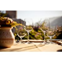 Weinprobe Frankfurt - Terrasse am Weinberg