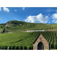 Weinprobe Frankfurt – Weinregion Mosel