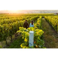 Weinprobe Stuttgart – Hand in Hand Weinberg