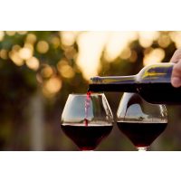 Weinseminar Hamburg - Rotwein