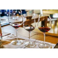 Weinseminar Hamburg - Weinseminar