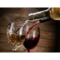 Kochkurs München –  Rot- und Weißwein