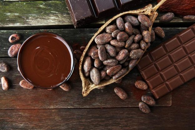 Schokoladen-Tasting Bonn – Rohstoff Kakaobohne