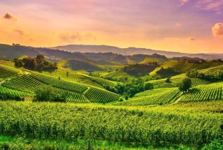 Virtuelle Reise Genussreise ins Piemont@Home für 2