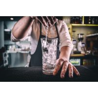 Gin-Tasting Mainz – Gin mit Eis