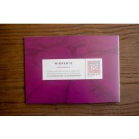 Weihnachtsgeschenk - Geschenkidee Erlebnisgutschein