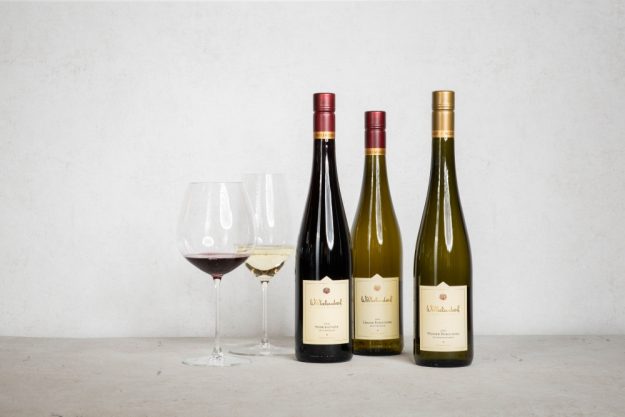 Weinprobe@Home – Weinauswahl