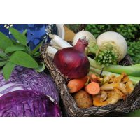 Incentive Düsseldorf - Wintergemüse