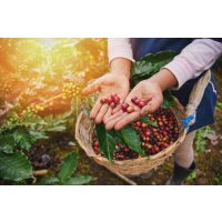 Kaffee-Tasting Düsseldorf – Kaffeebohnen