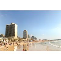 Online KOchkurs israelisch die leckersten Gerichte der Levante